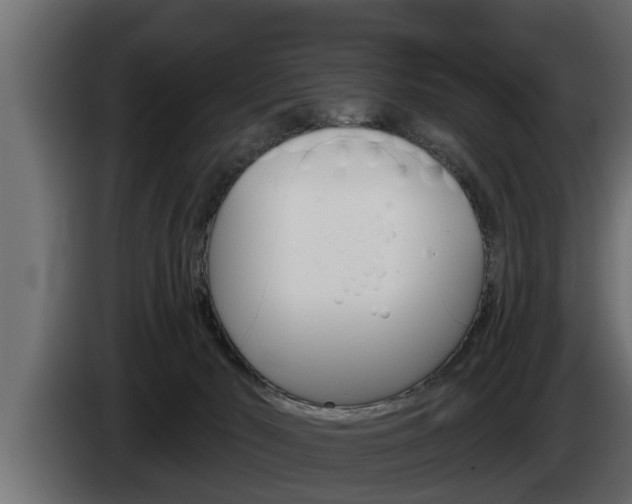 X0000085080030200703051117