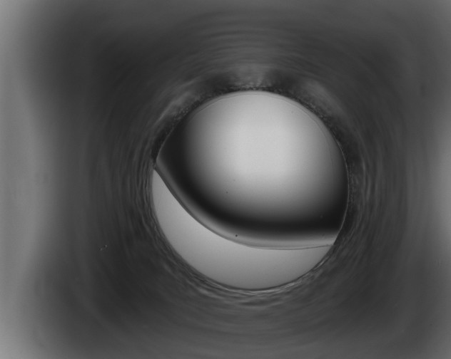 X0000085080035200703051117