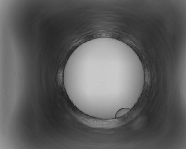 X0000085080036200703051117