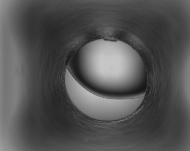 X0000085080037200703051117