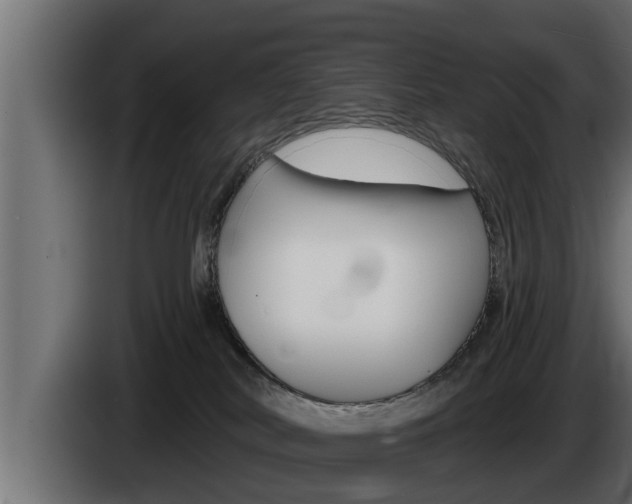 X0000085080038200703051117