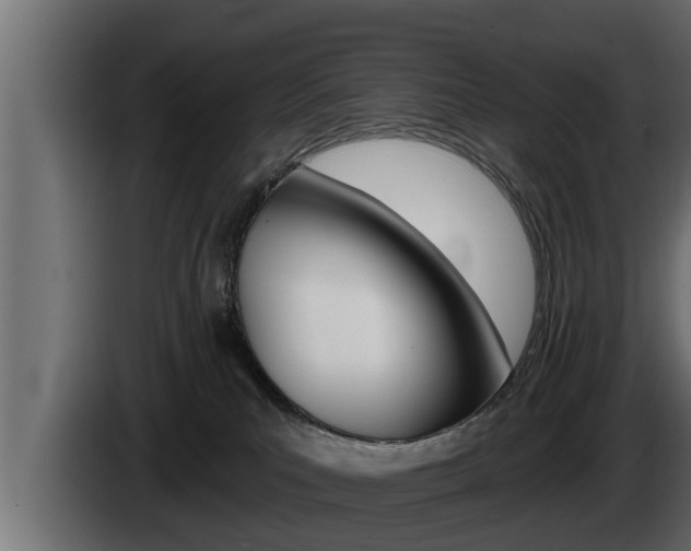 X0000085080039200703051117