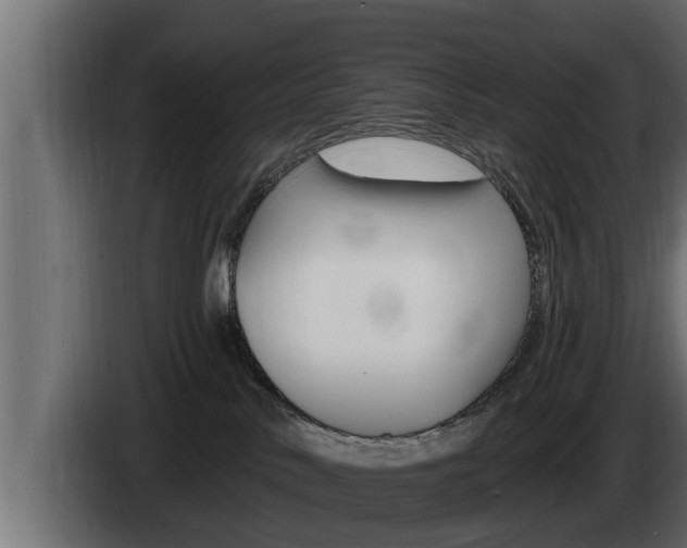 X0000085080042200703051117