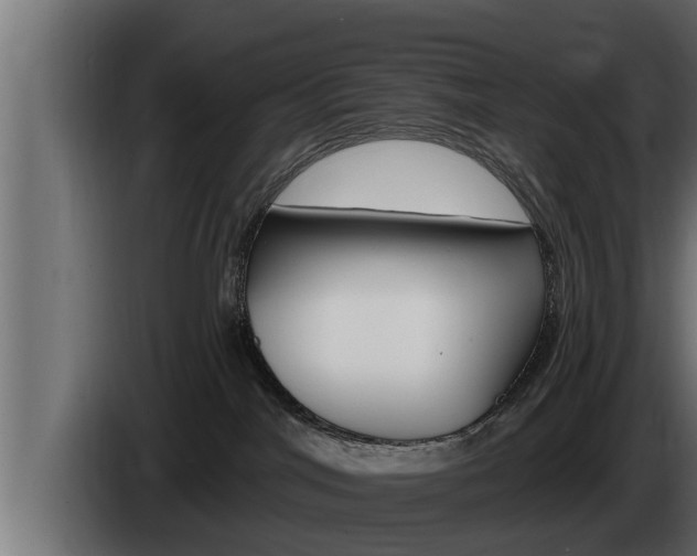 X0000085080044200703051117