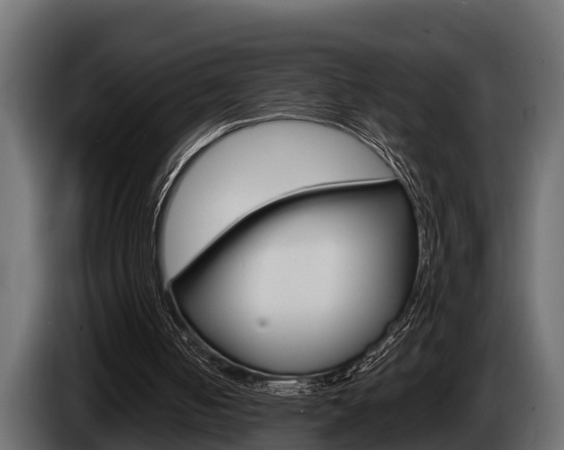 X0000085080050200703051116