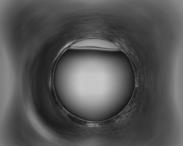 X0000085080052200703051116