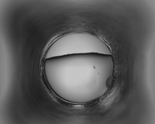 X0000085080053200703051116
