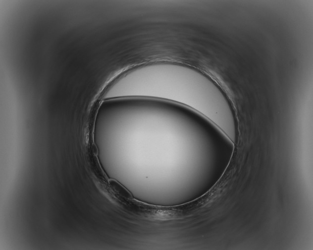 X0000085080060200703051117