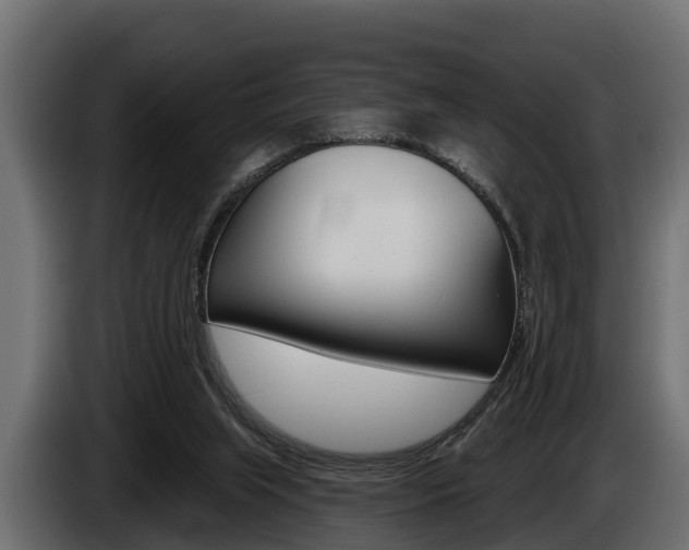 X0000085080063200703051117