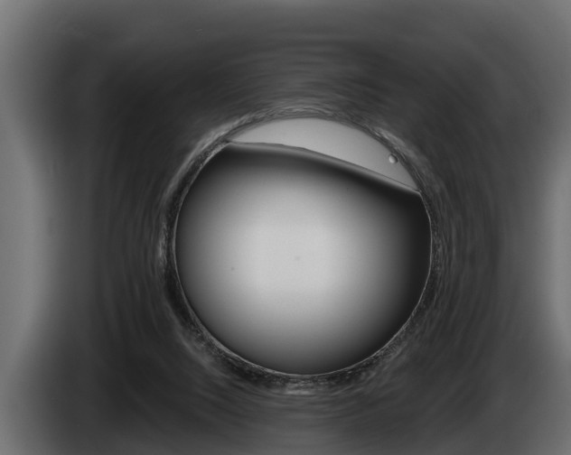 X0000085080064200703051117