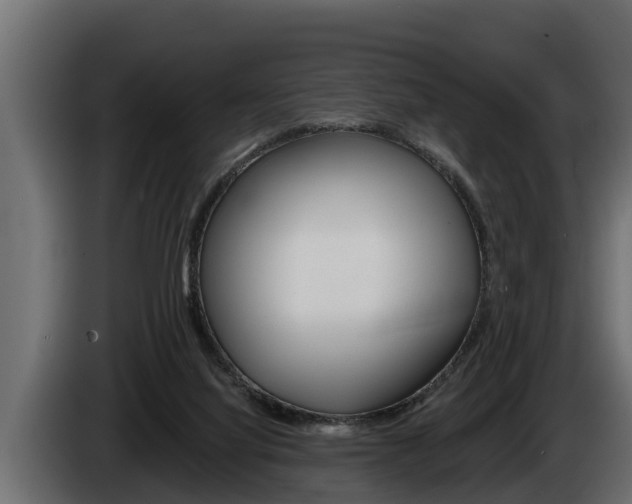 X0000085080068200703051117