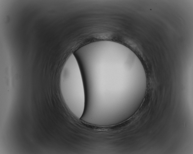 X0000085080069200703051117