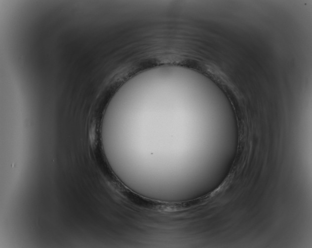 X0000085080074200703051117