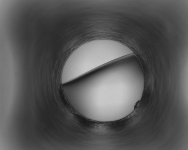 X0000085080078200703051117