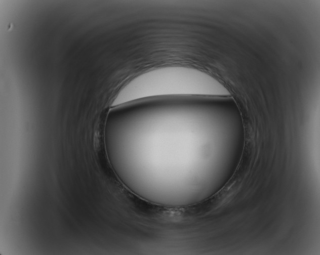 X0000085080080200703051117