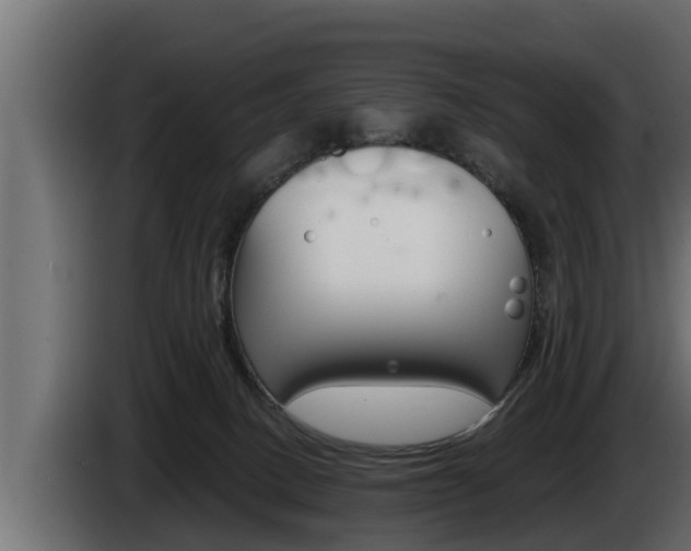 X0000085080082200703051117