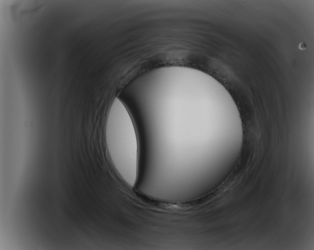 X0000085080083200703051117