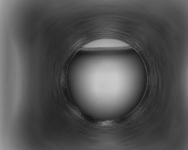 X0000085080092200703051117