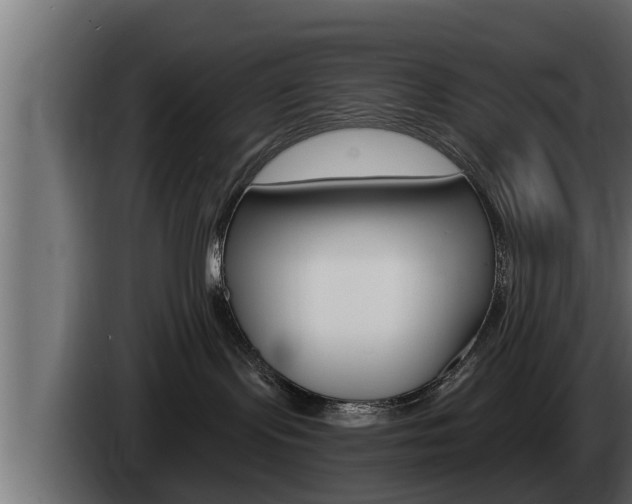 X0000085080095200703051117