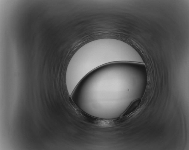 X0000085080096200703051117