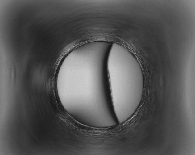 X0000085080099200703051116