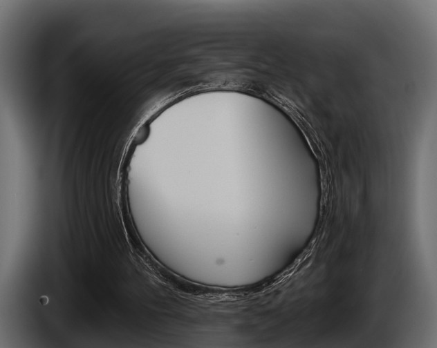 X0000085080100200703051116