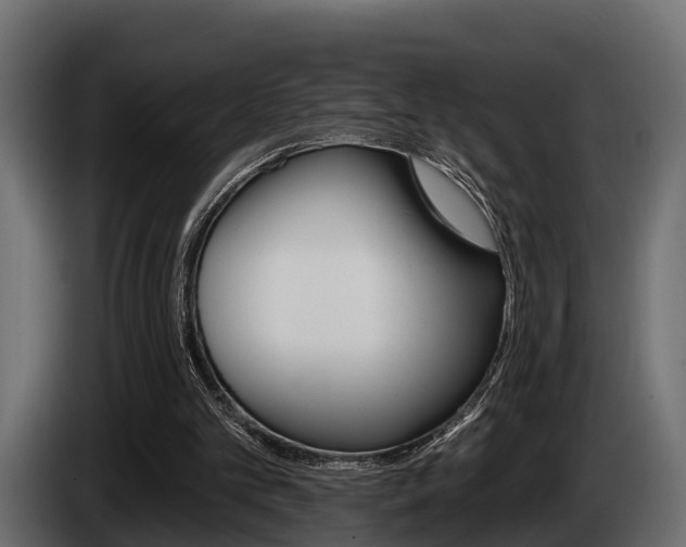 X0000085080101200703051116