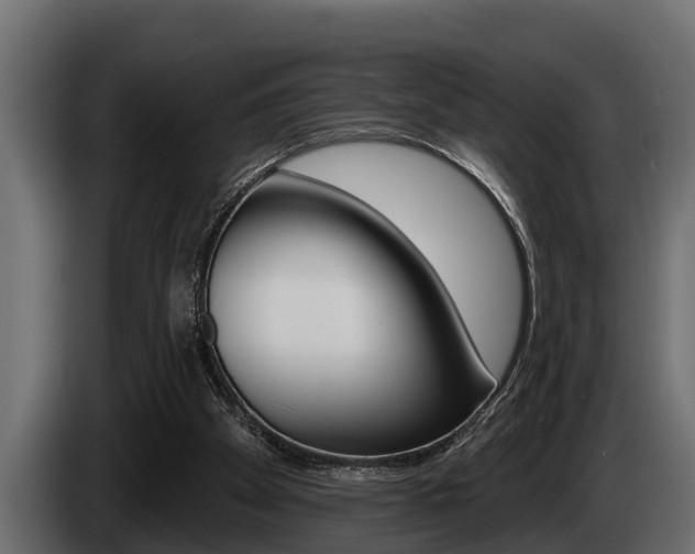 X0000085080105200703051116
