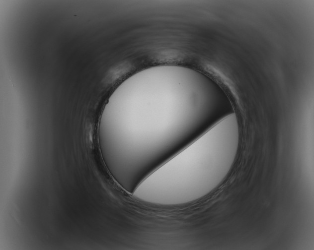 X0000085080115200703051116