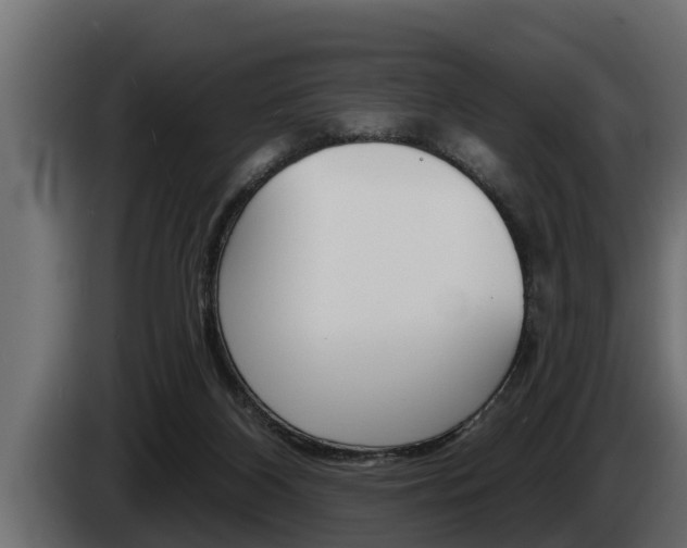 X0000085080116200703051116