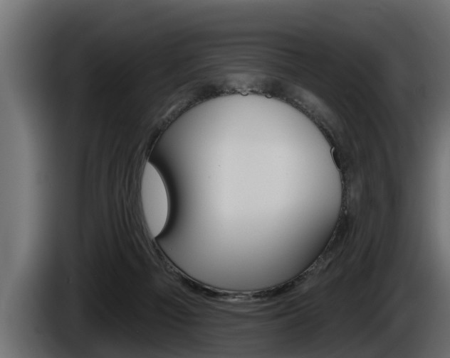 X0000085080121200703051116