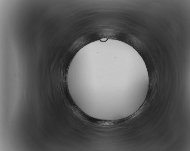 X0000085080140200703051116