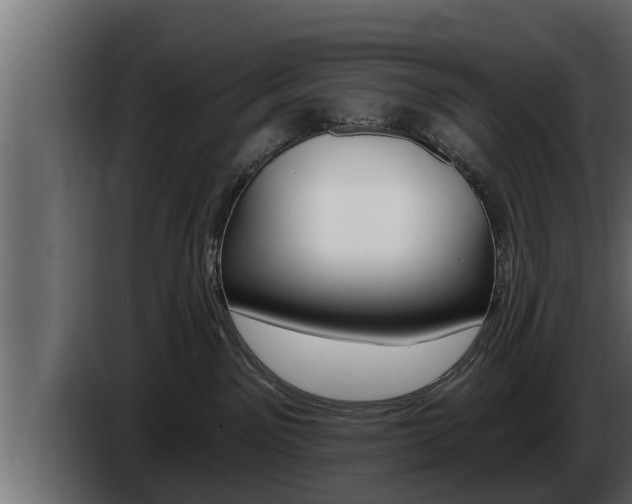 X0000085080141200703051116