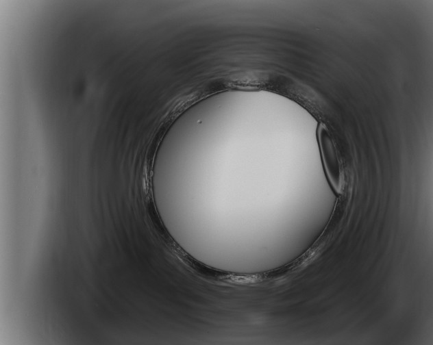 X0000085080143200703051116