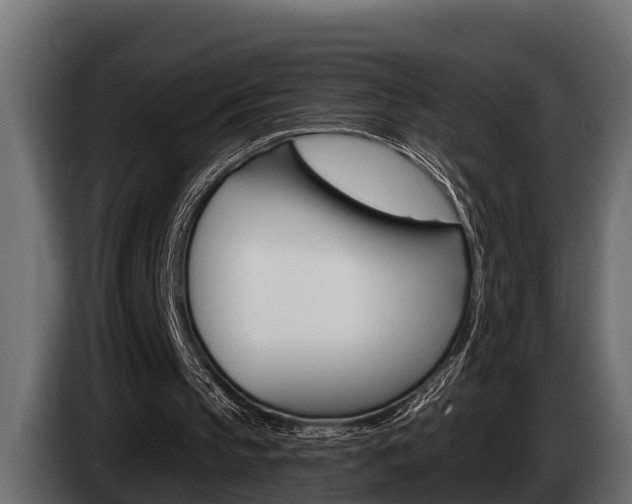 X0000085080145200703051115