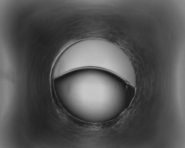 X0000085080148200703051115