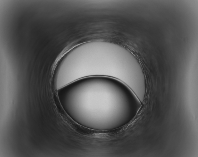 X0000085080150200703051115