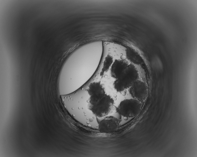 X0000085080153200703051115
