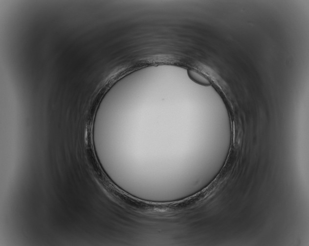 X0000085080157200703051115