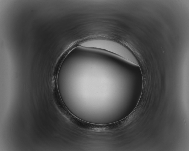 X0000085080160200703051115