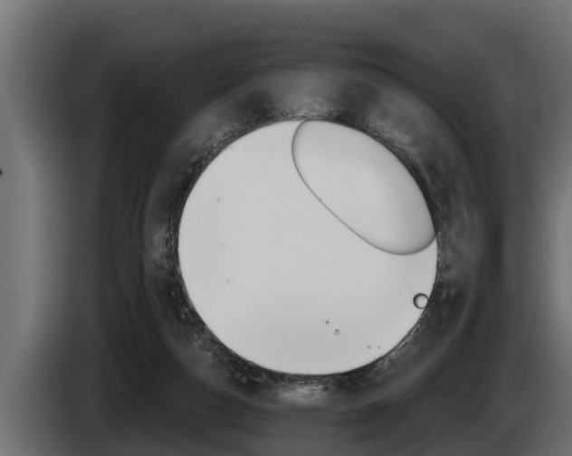 X0000085080162200703051115