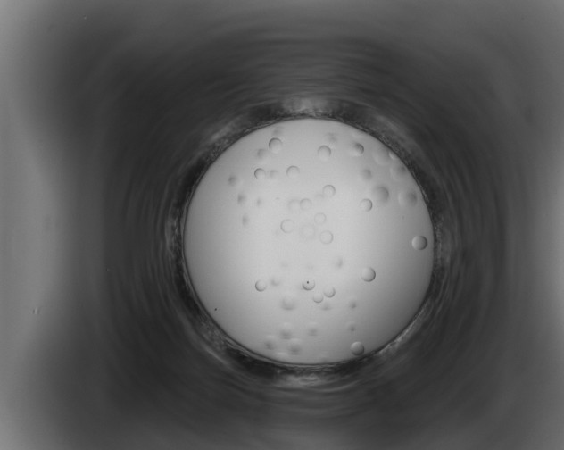 X0000085080171200703051116
