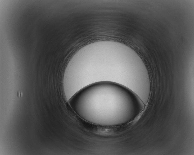 X0000085080174200703051116