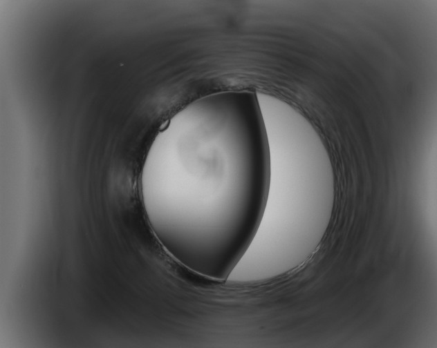X0000085080176200703051116