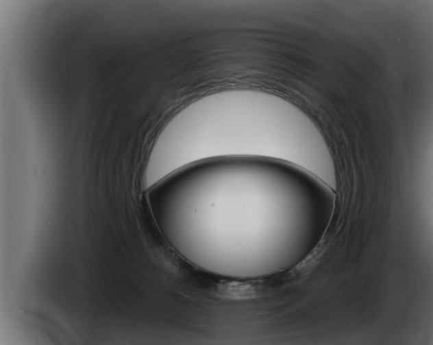 X0000085080180200703051116