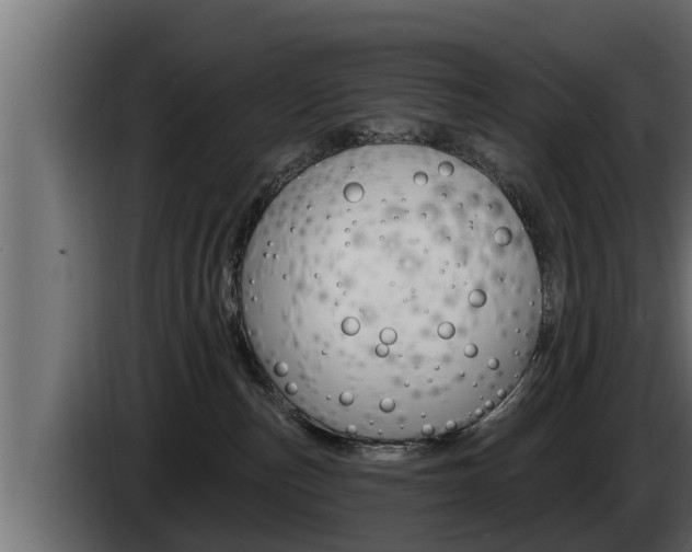 X0000085080187200703051116