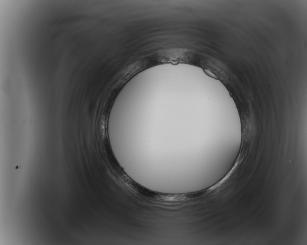 X0000085080191200703051116