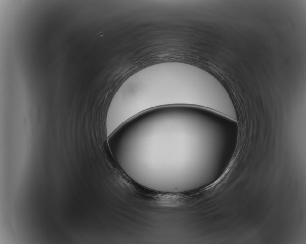 X0000085080192200703051116
