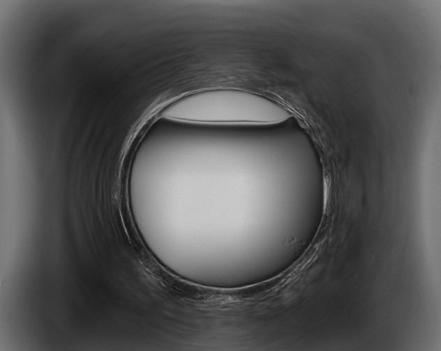 X0000085080195200703051115