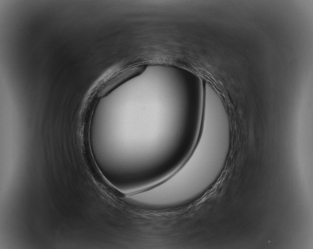 X0000085080197200703051115